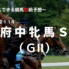 ２０２３府中牝馬Ｓ（ＧⅡ）予想