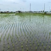 池之内町あたり