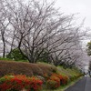 2020/03/28 新木場駅前の桜/東京駅/28日と29日の総武線（市ヶ谷～飯田橋）