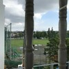 中央公園