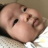 　双葉