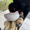 娘と二人だけの一日(四日目)