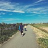 いろんなことめぐり。