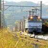 高松貨物ターミナル駅の看板を建物を通過するEF65号機