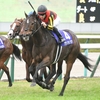 競馬初心者必見☆馬券予想🔥〜マイルCS〜グランアレグリアが有終を飾る！？〜