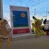 今週のレッスン　とよの保育園さま