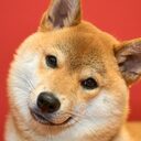 Tuiteru358’s blog