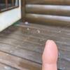 出会いの季節