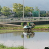 早苗揃い田植え始まる