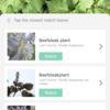 授業で使えるかも？：Plant identifierな2つのアプリ「PictureThis」と「iplant」