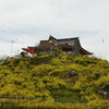 蕪島神社