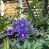 7月の院内研修
