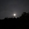 今夜の月