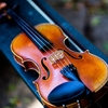 Things to know before you buy a violin