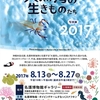 大浦湾の生きものたち　写真展2017　開催中！！