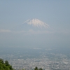 乙女峠から見上げる富士山　「登ったのは長嶋茂雄がいつも麓から駆け上がった金時山」　日帰り登山