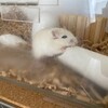 くるみあん827日目