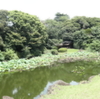 灼熱遠足記⑦庭園を散歩する。