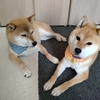 8月5日