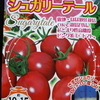 【日々のこと】【ゆる菜園】お菓子のようなミニトマト　シュガリーテールに挑戦！