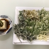 野草を食べるぞ。②