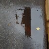 雨上がりと傘…