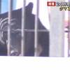 共存の道-銃かどんぐりか-