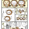 ちいかわ「たぬきだもん」の元ネタと関連グッズや歴代グッズまとめ！どこで売ってる？炊き込みご飯の元ネタも公開！