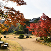 11/17（金）山口県紅葉めぐり