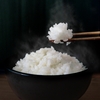 思わずお腹が鳴る…！白いご飯が最高にうまそうな瞬間