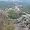 吉野に桜を見に行きました🌸その１．下千本～金峯山寺～中千本～上千本～花矢倉展望台～水分神社