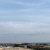 最近海見ていない！！ということで海を求めて＠千葉県で海遊び