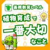 【枯らす前に！】植物育成で一番大切なこと