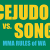 「セフード vs. ヤドン」はなぜ途中判定になったのか？アメリカ合衆国MMAルールの話。