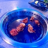 12（続き）　就寝前の食べ物写真