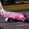 さくらジンベエがやってきた