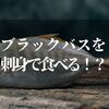 ブラックバスを刺身にして食べて大丈夫！？【臭いとリスクを知っておこう】