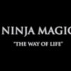 【歌詞・意訳】NINJA MAGIC " THE WAY OF LIFE "