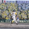 阪神タイガース（2024）中日戦～主砲の一撃と阪神園芸の素晴らしい働きでカード3タテを達成～【プロ野球】