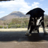 週末の犬山歩！
