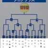 【流星2】ウェーブマスターズ2008総括