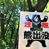 全国で相次ぐ熊被害 ― 最新状況と私たちにできる対策