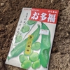 そら豆植付け