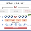 栄養管理を科学する