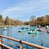 【子連れでお出かけ】3歳の子どもと井の頭恩賜公園＆井の頭自然文化園に行った感想　in吉祥寺