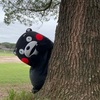 くまモン　宣言解除で始動