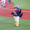 ４月１１日　野球観戦に行った。
