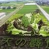 田んぼアート２０１５　その２；　青森県　田舎館村　見ごろ