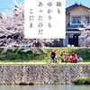 こだまさんの新連載エッセイ「おしまい定期便」『父の終活』『直角くん』 