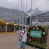 大阪の植物園-咲くやこの花館　療育手帳でお出かけしよう【障がい者割引あり】